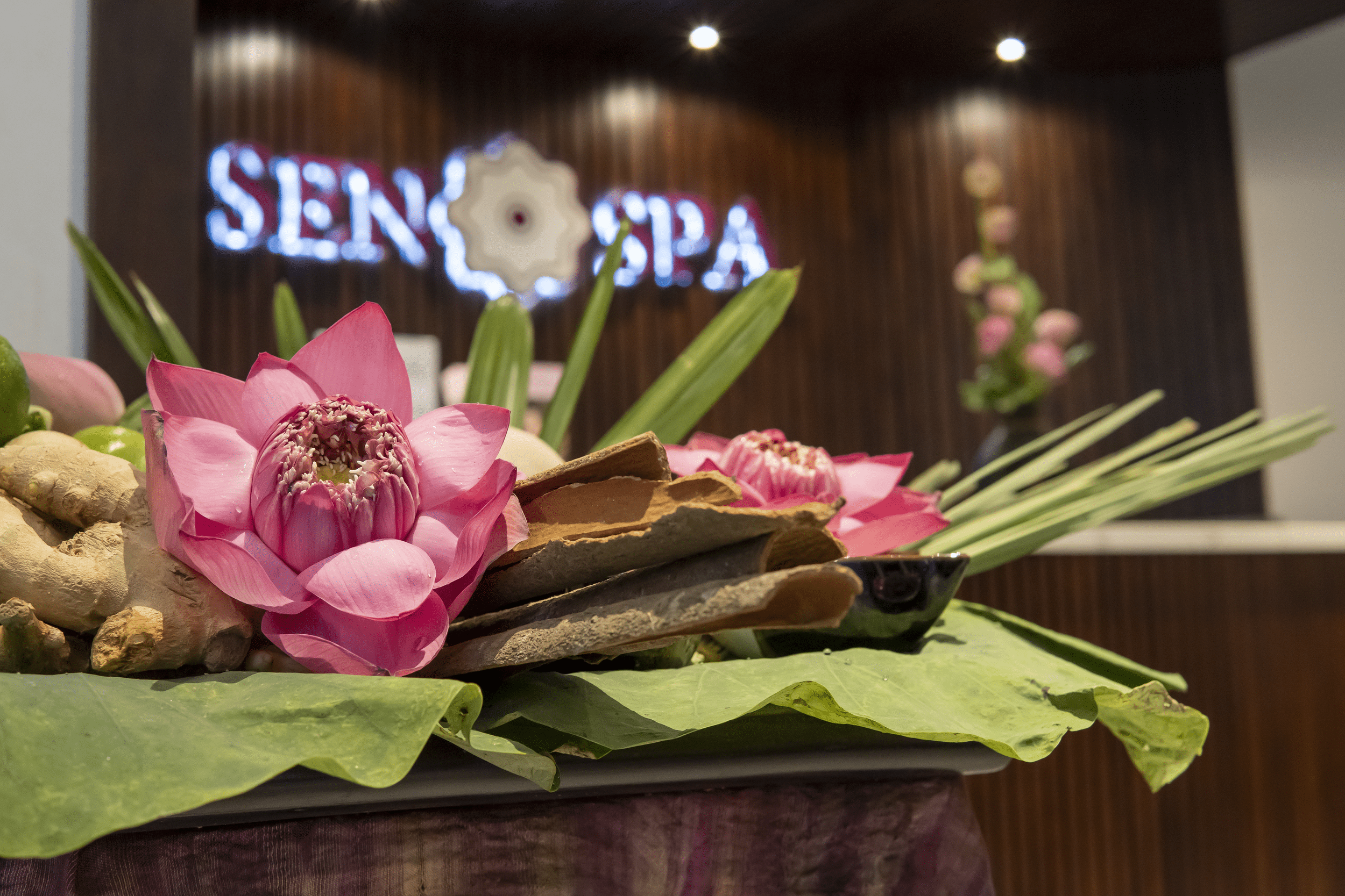 Sen Spa